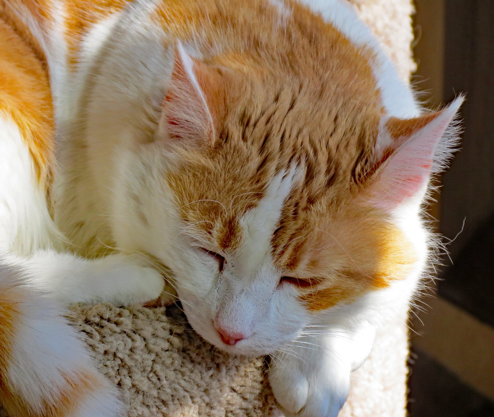 The Role of Routine in Alone Time (image credits: wikimedia)