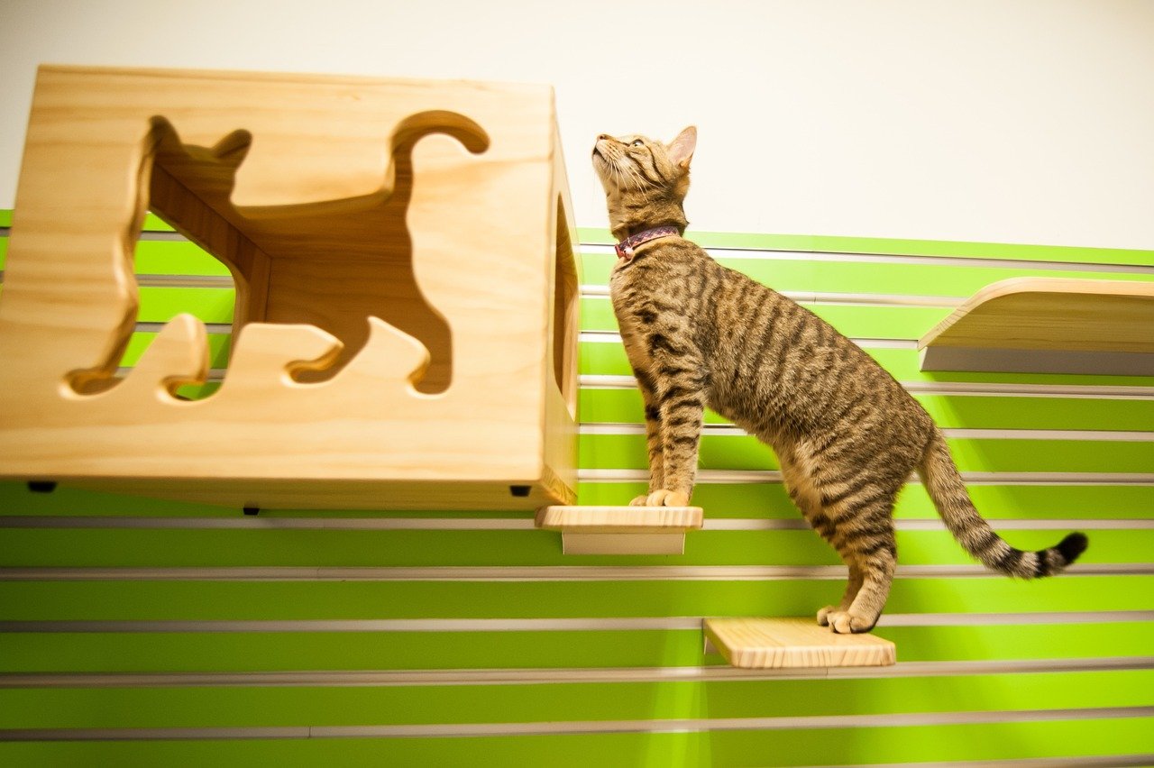 Enriching the Favorite Room for Alone Time (image credits: pixabay)