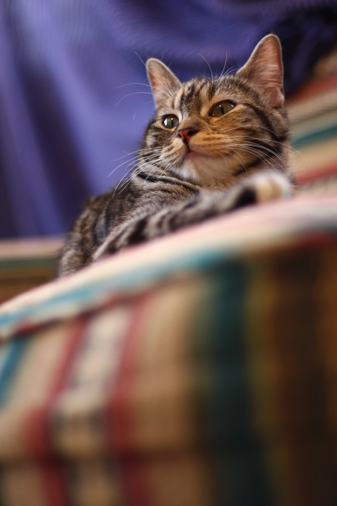 Waiting for You in Favorite Spots (image credits: rawpixel)