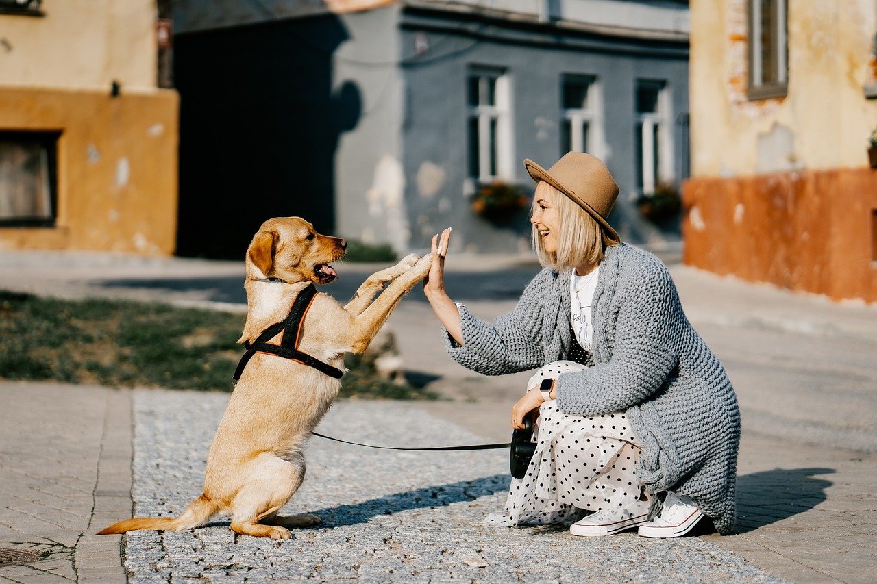 Mutual Love and Trust (image credits: pixabay)