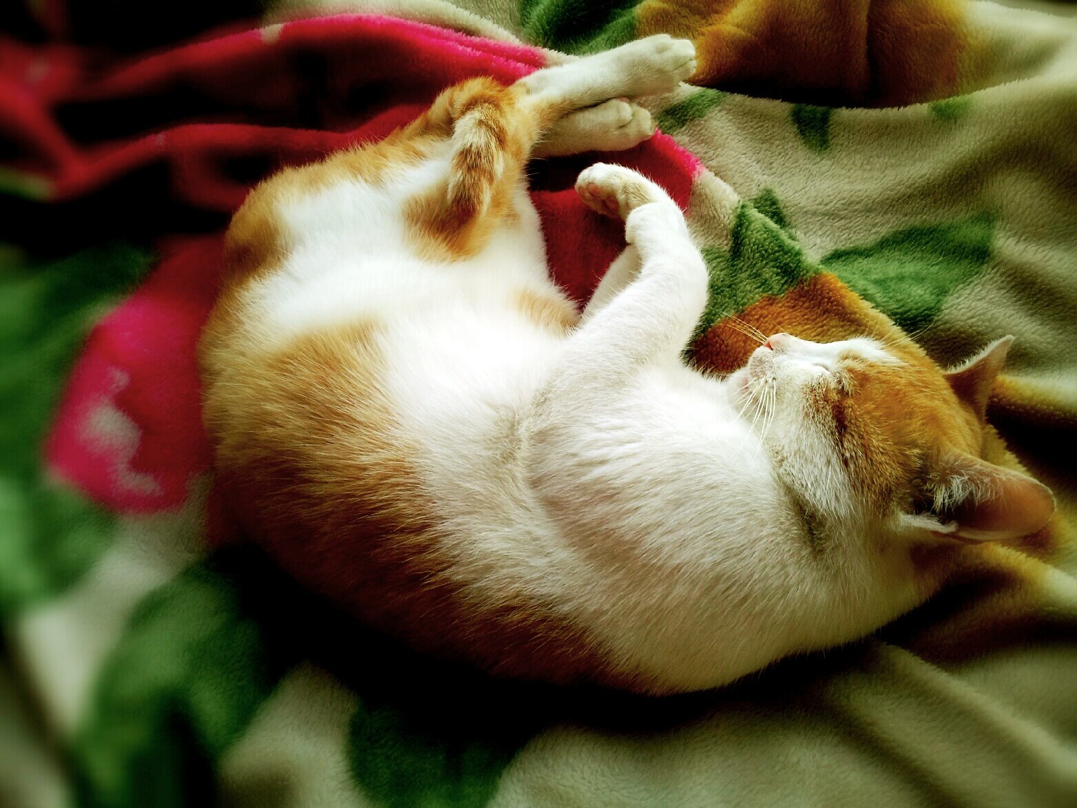 Sleeping in Strange, Open Spaces (image credits: wikimedia)