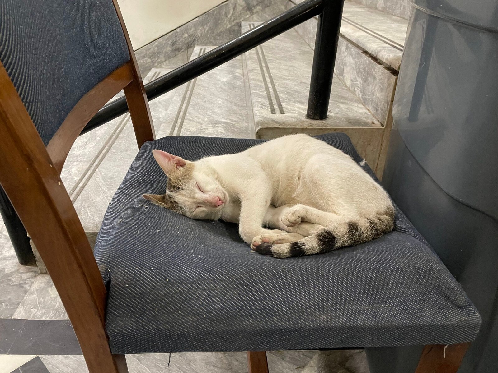 Sleeping Near You (But Not on You) (image credits: wikimedia)