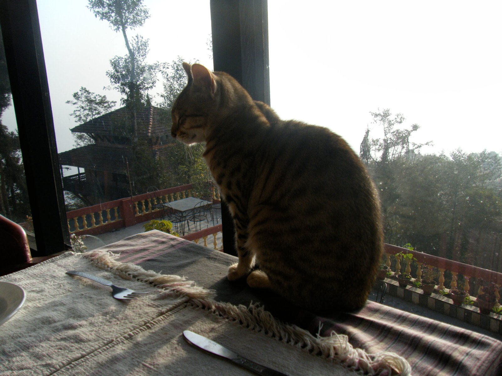 1. The Art of Mutual Stillness (image credits: wikimedia)