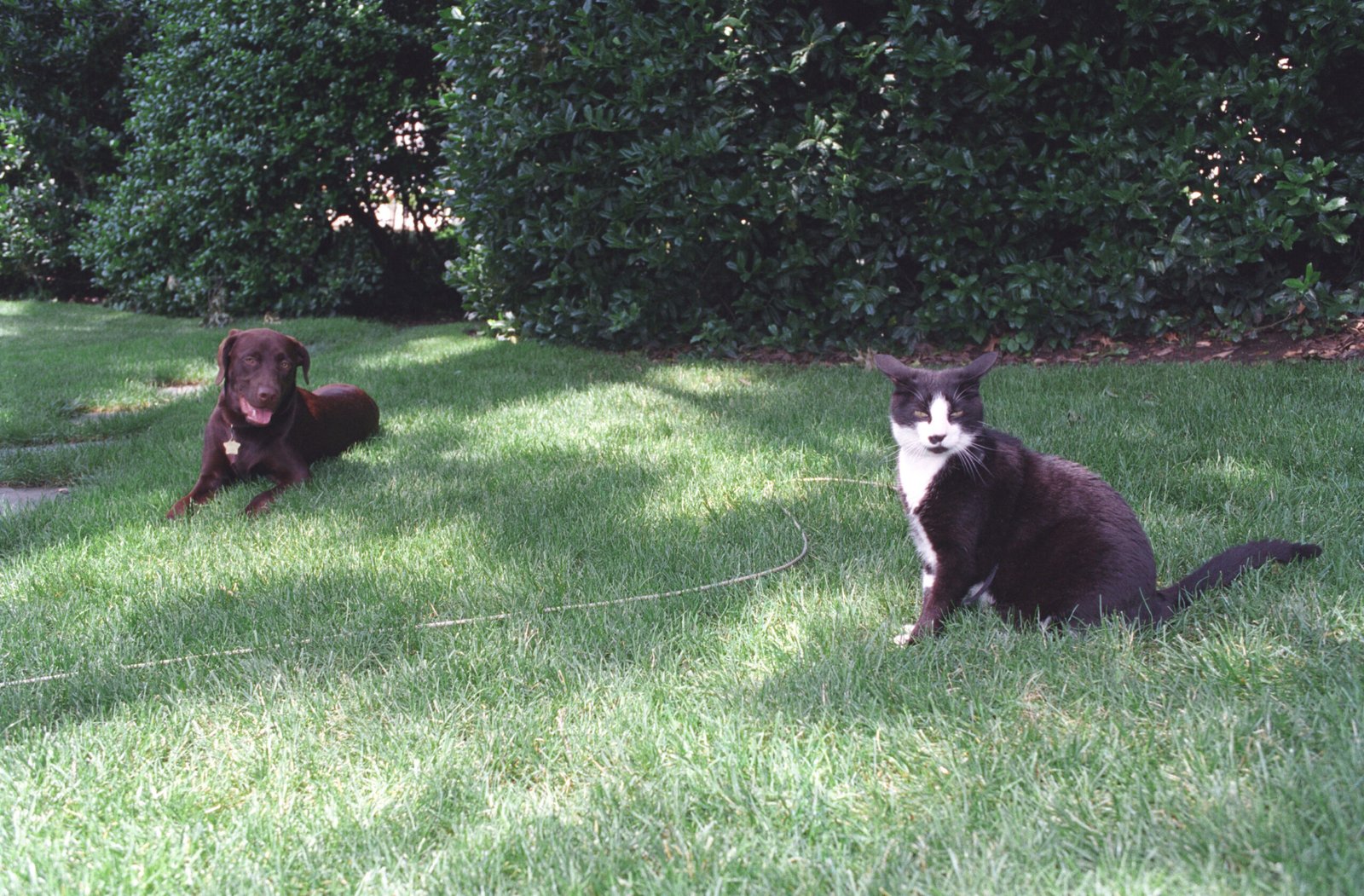 3. Silent Side-by-Side Sitting (image credits: wikimedia)