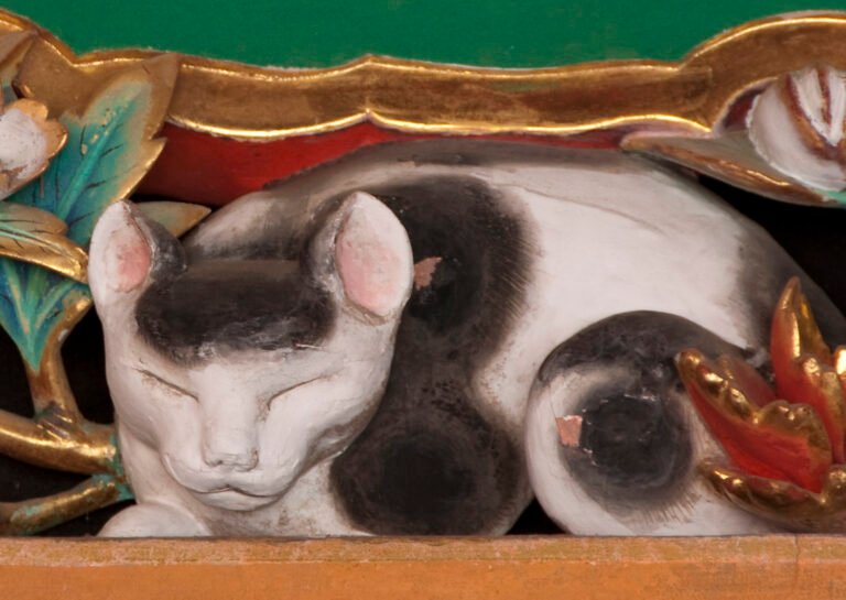 6 Reasons Why Cats Feel Safer With Predictability