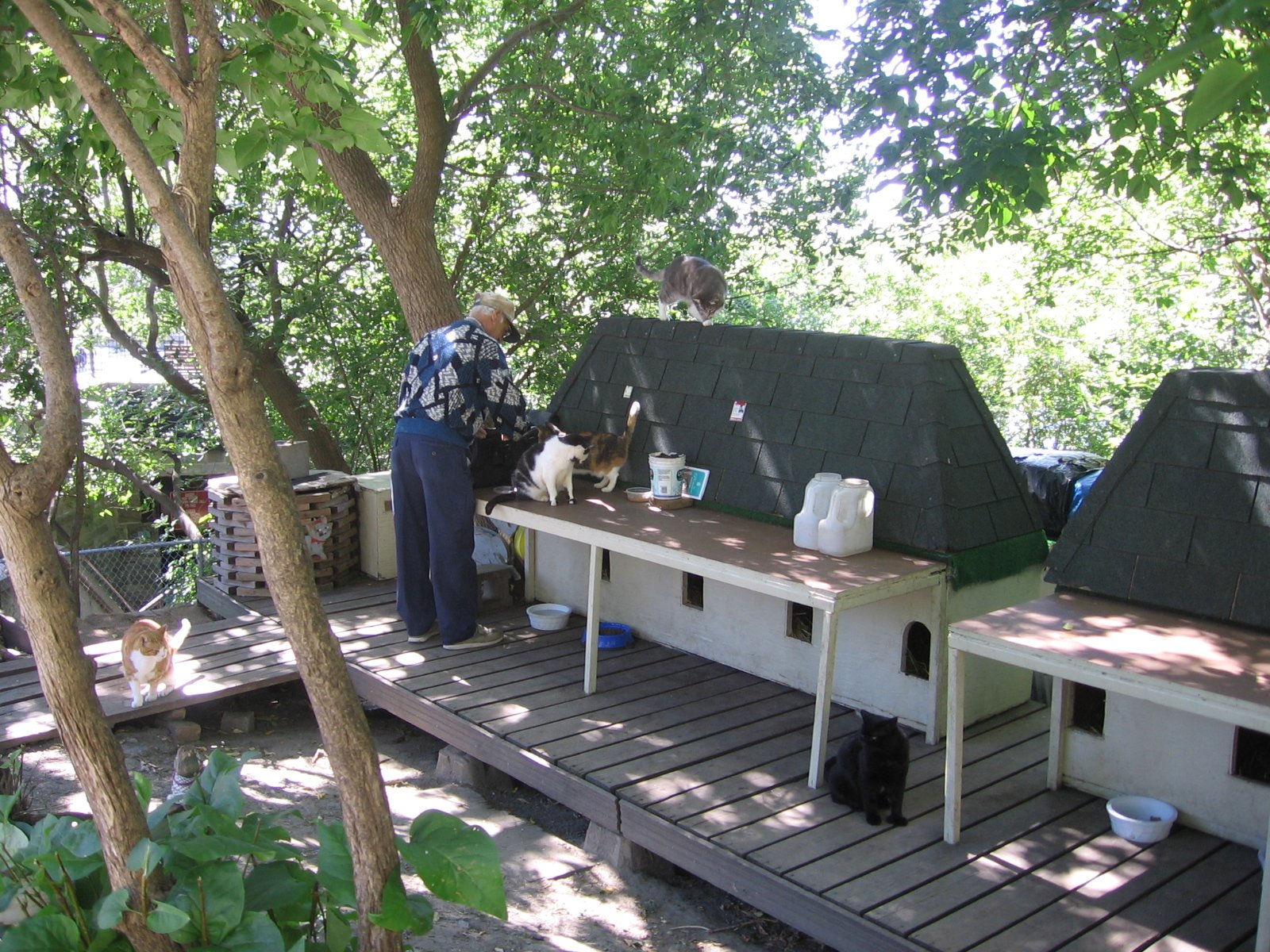 Creating a Safe and Comfortable Environment (image credits: wikimedia)