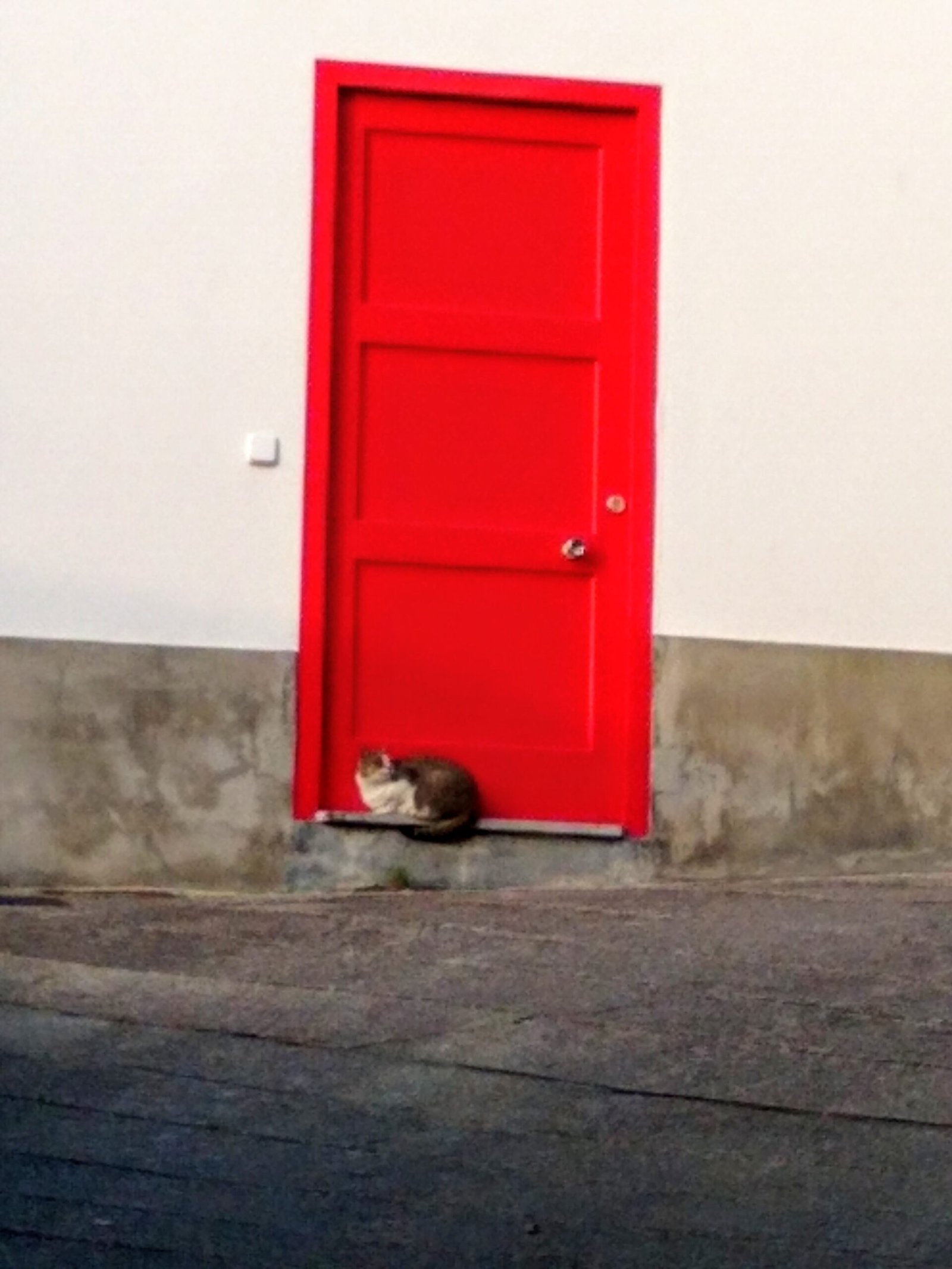 Waiting By the Door (image credits: wikimedia)