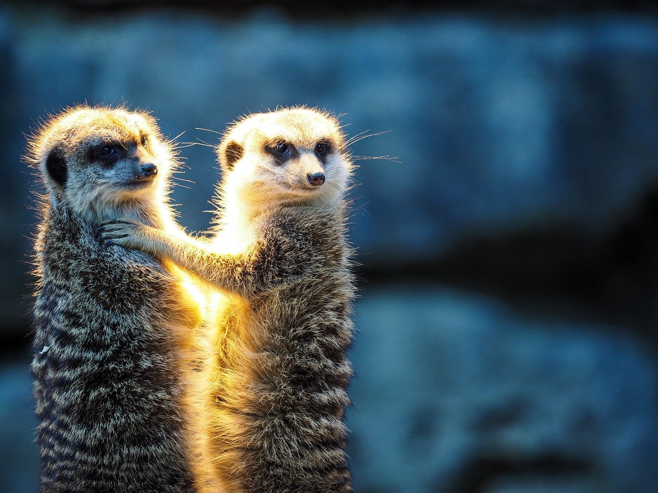 Your Reaction to Their Behavior (image credits: pixabay)