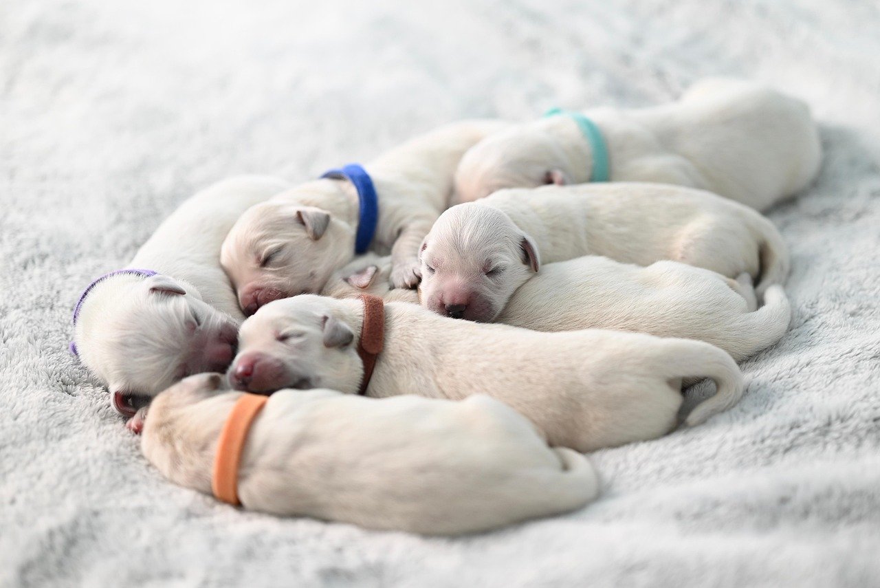 More Frequent Seeking of Physical Contact (image credits: pixabay)