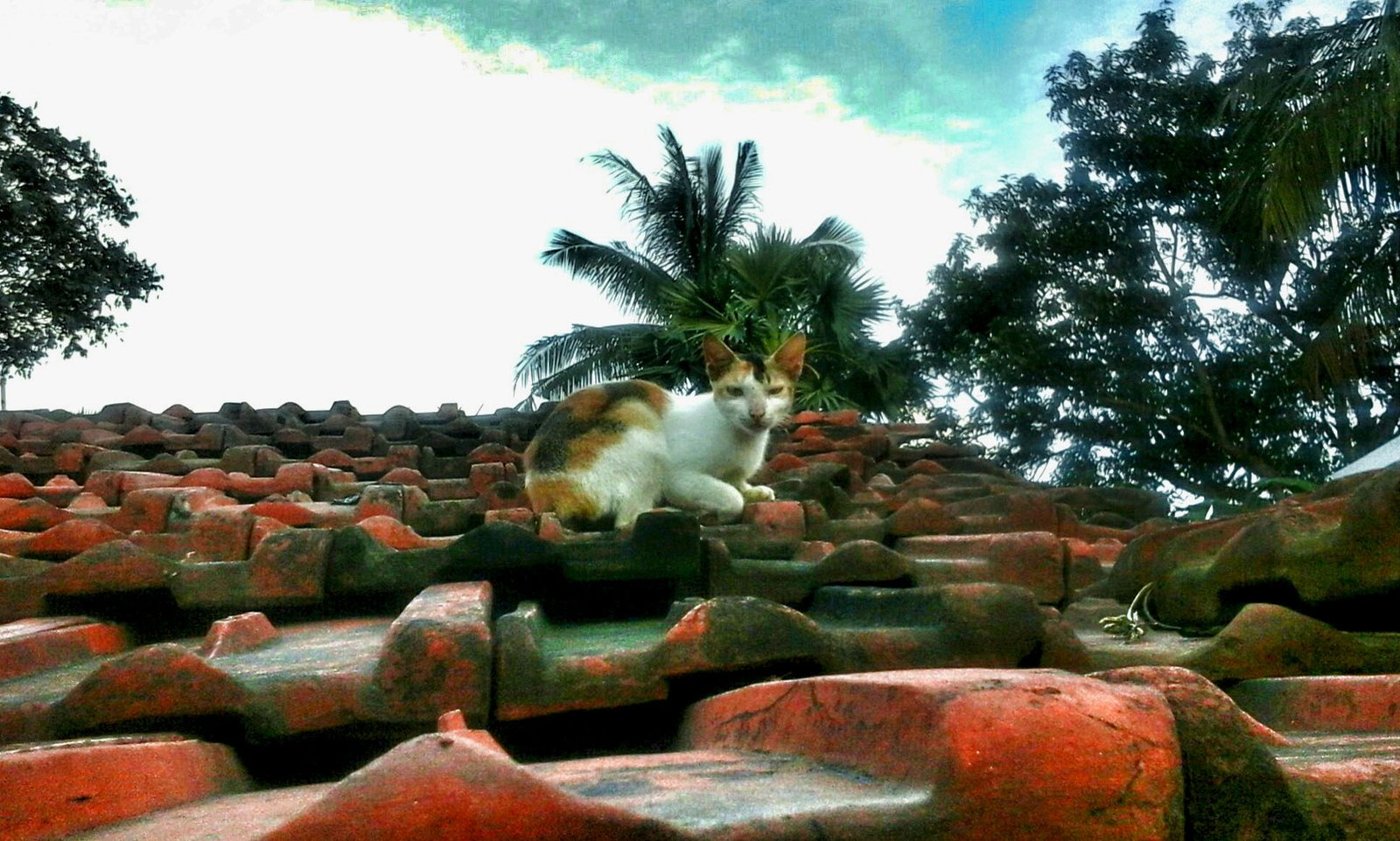 Fascination in Pop Culture and Art (image credits: wikimedia)