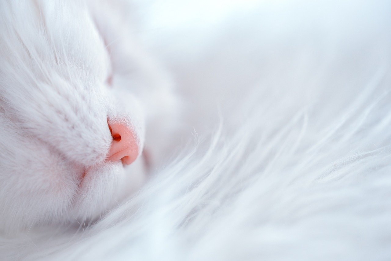 Scheduled Quiet Time Together (image credits: pixabay)