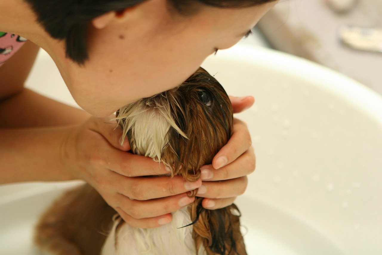 Reinforcing Social Bonds (image credits: pixabay)