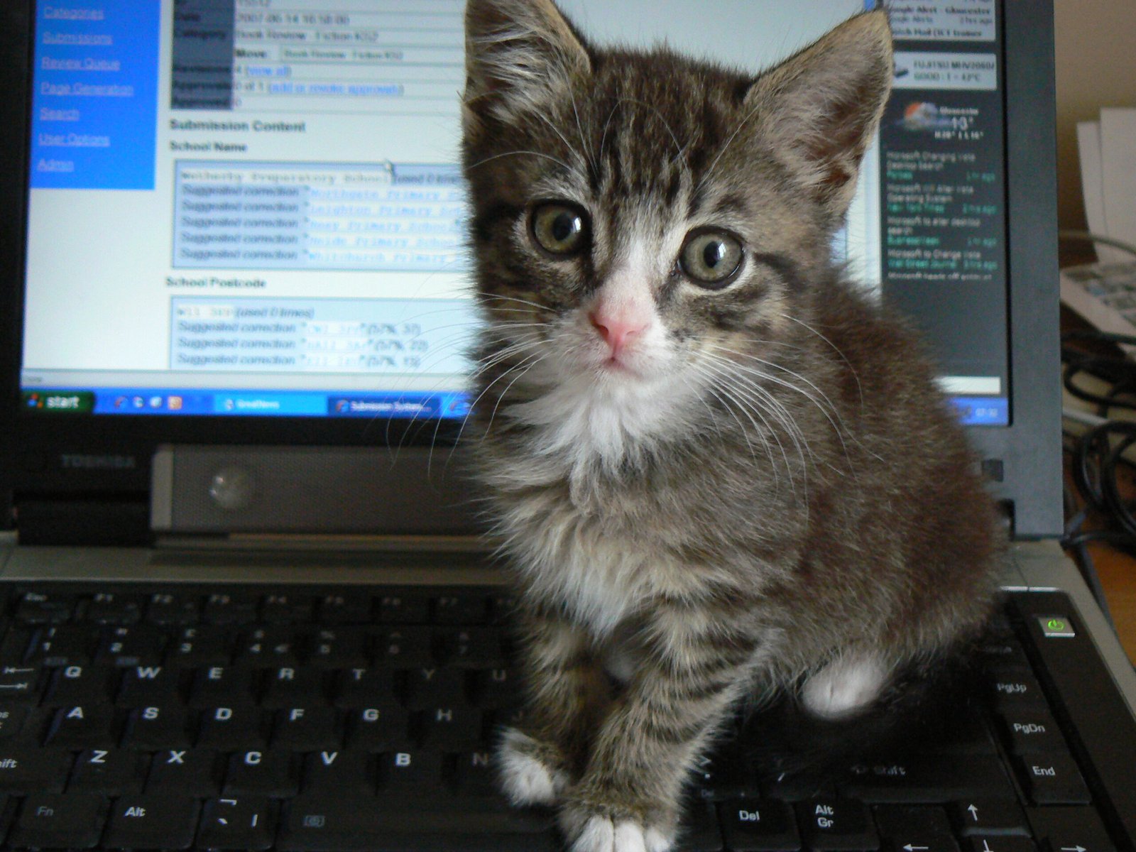 Sitting on Your Things (image credits: wikimedia)