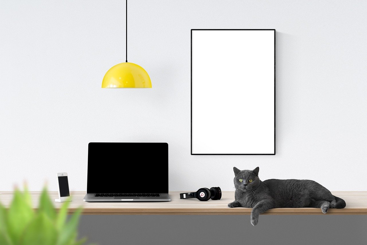 Bonding Moments: Making the Most of Lap Time (image credits: pixabay)