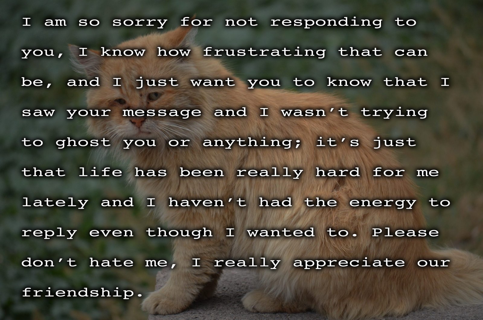 Responding to Your Voice (image credits: wikimedia)