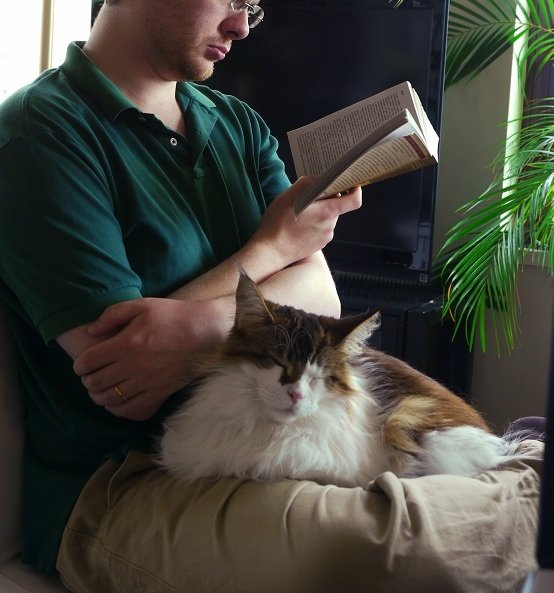 Heightened Attachment to Owners (image credits: wikimedia)
