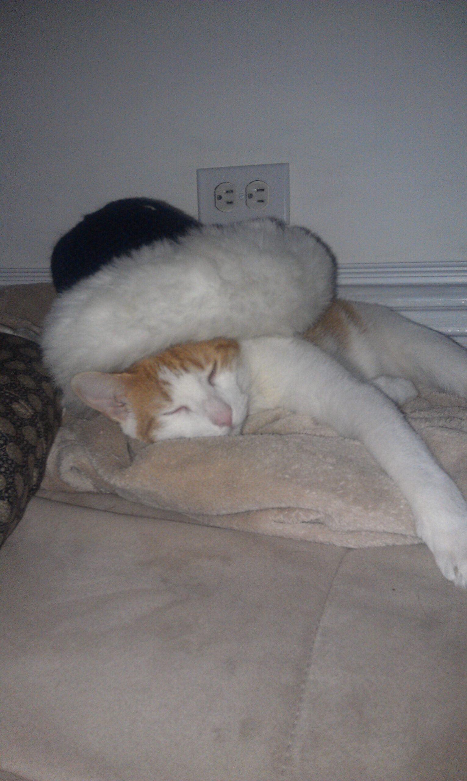 Sleeping on Your Things as a Love Ritual (image credits: wikimedia)