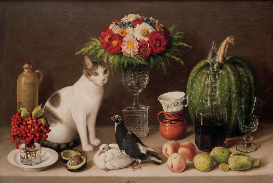 How Your Daily Habits Affect Your Cat (image credits: wikimedia)