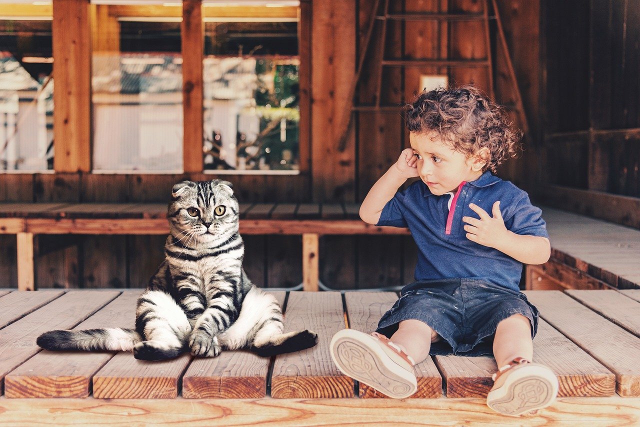 Cats and Children: A Healing Friendship (image credits: pixabay)