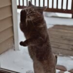 Patience: The Most Essential Ingredient