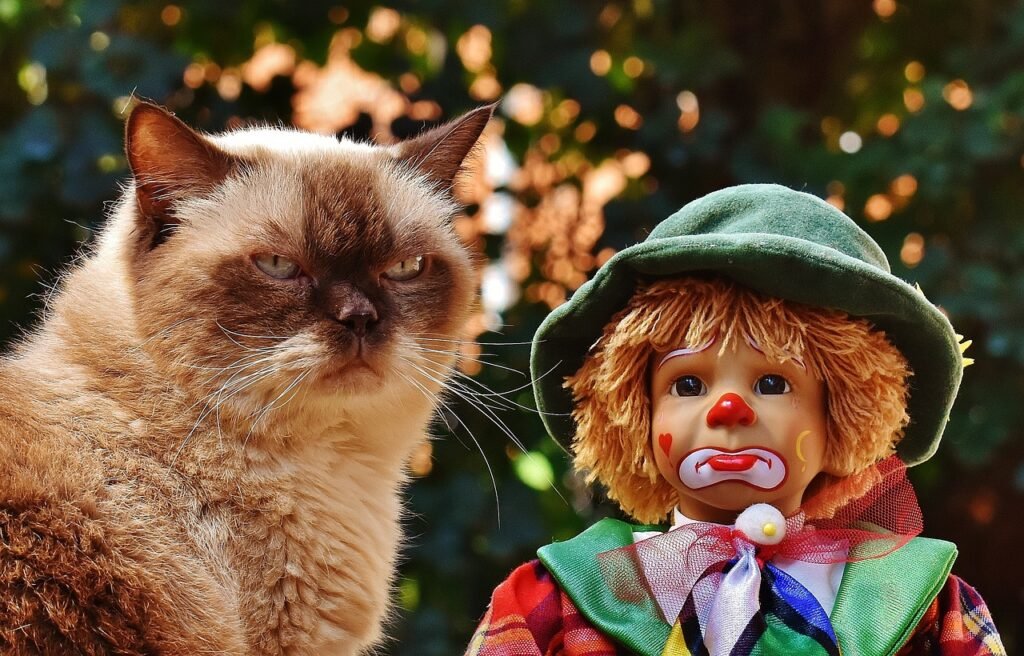 Toy Hoarding for Comfort