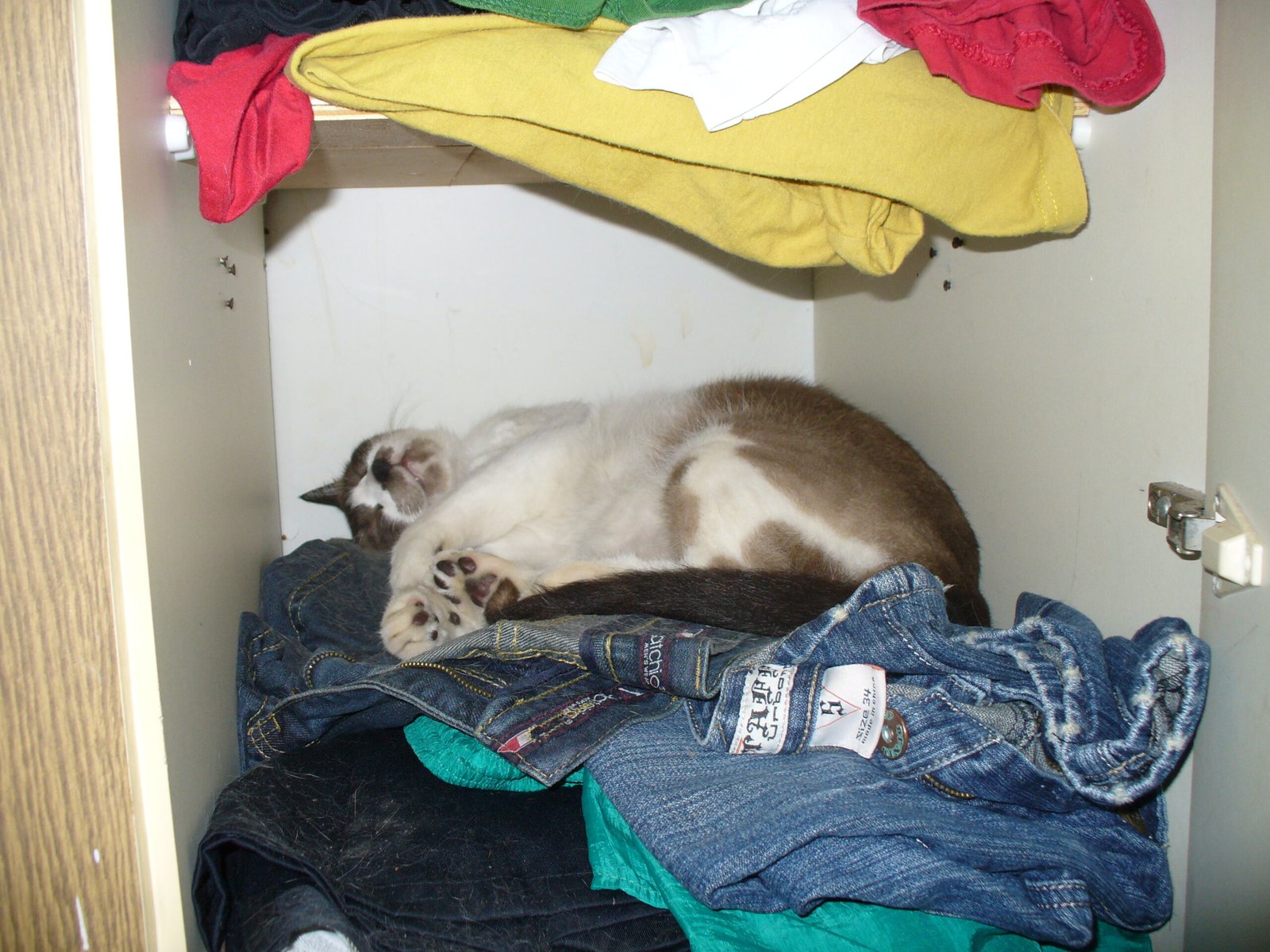 Territorial Claims: Marking the Closet as Their Own