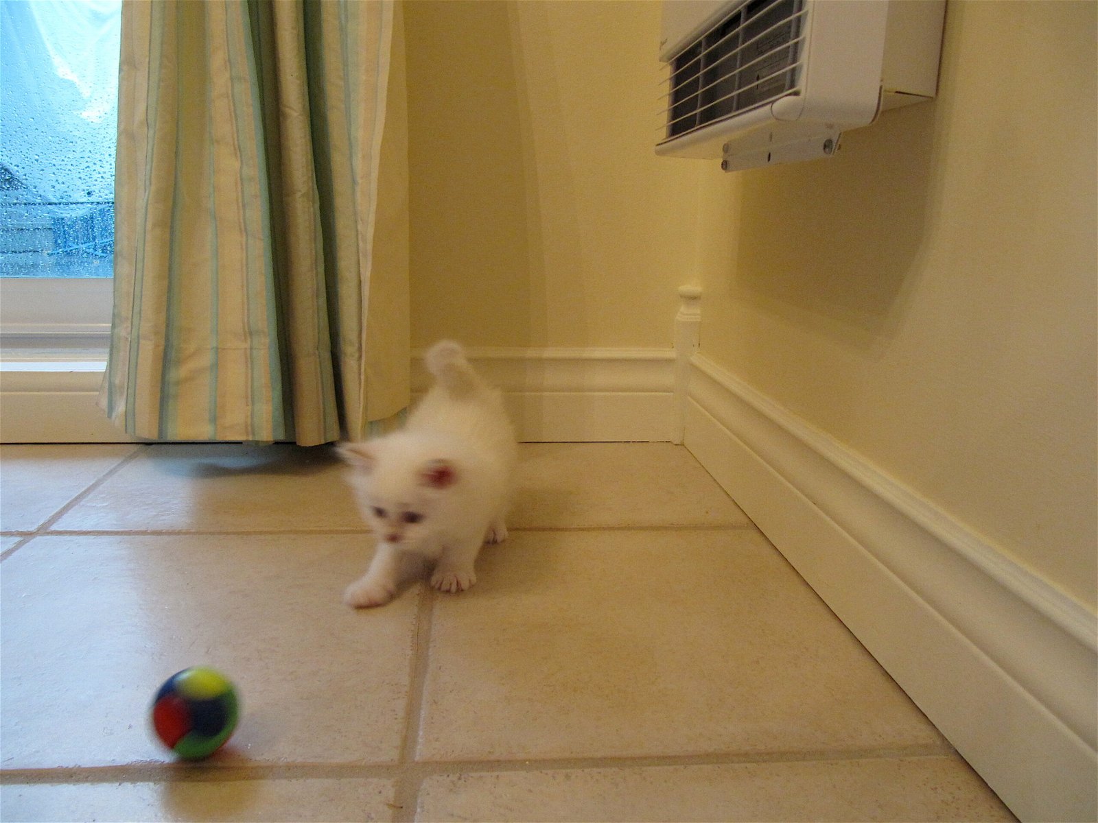 Playtime Without the Chaos (image credits: wikimedia)