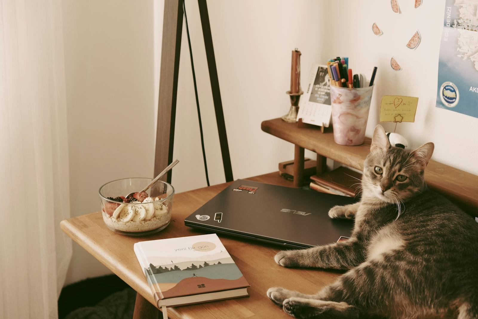 A comfortable home office setting with a cat resting on a desk, alongside a healthy breakfast bowl, a laptop, and a book.