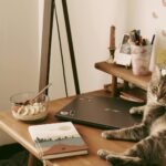 A comfortable home office setting with a cat resting on a desk, alongside a healthy breakfast bowl, a laptop, and a book.