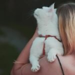 A woman with long blonde hair holds a white cat, enjoying an outdoor moment together.