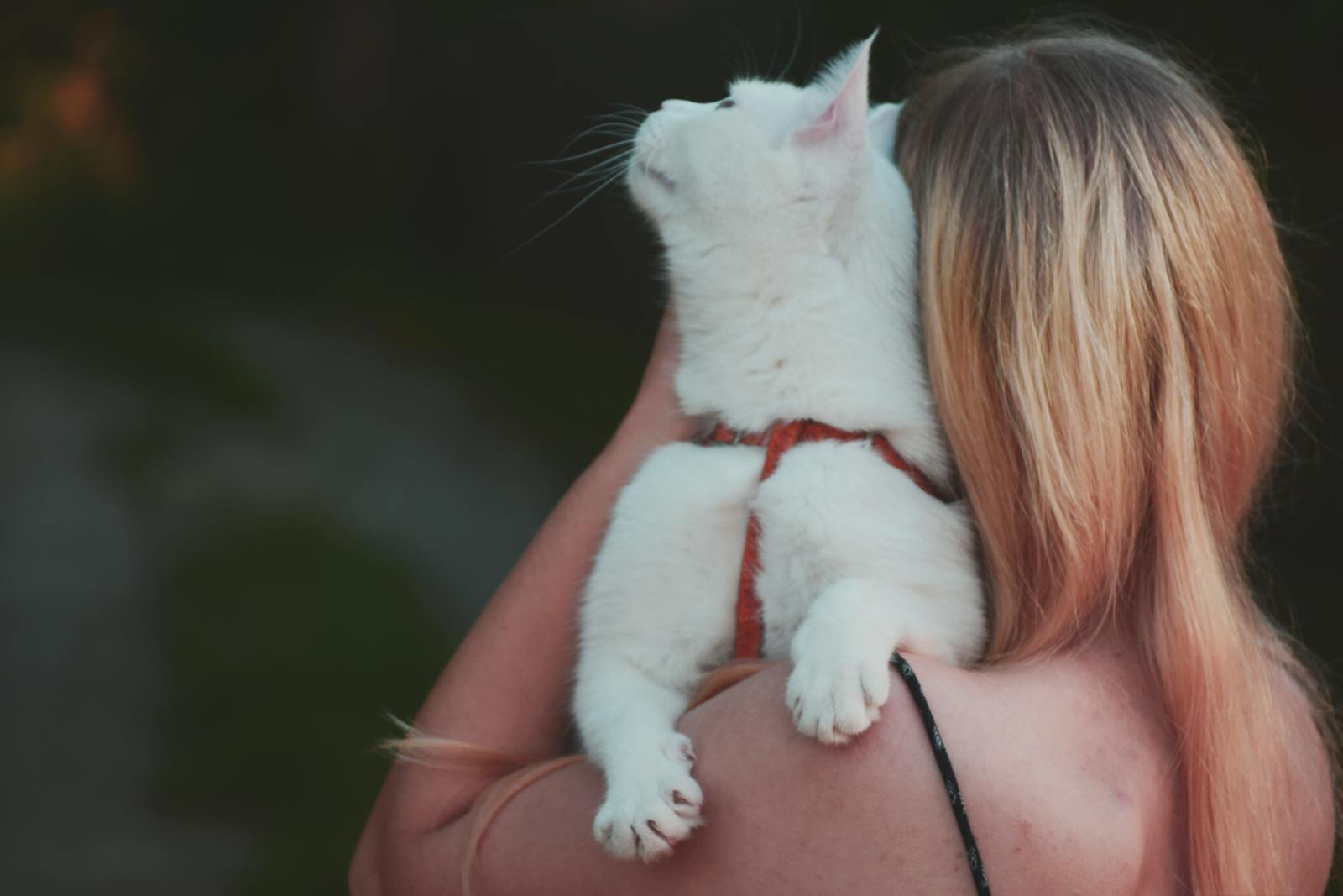A woman with long blonde hair holds a white cat, enjoying an outdoor moment together.