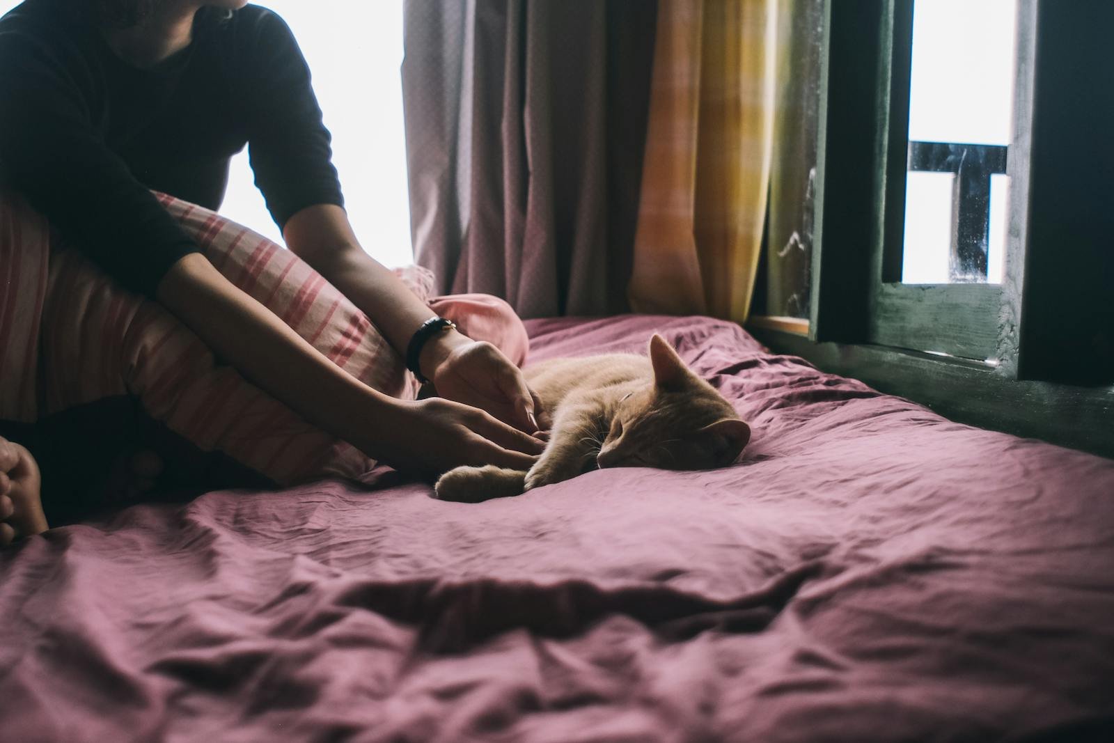 A serene moment capturing a woman relaxing with her sleeping cat on a bed in a cozy room.