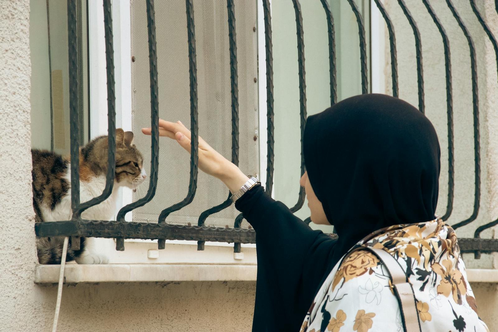 A woman in a hijab reaches out to a cat sitting on a windowsill.