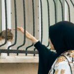 A woman in a hijab reaches out to a cat sitting on a windowsill.