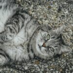 Adorable gray tabby cat lounging on a pebble stone surface, showcasing its playful demeanor.