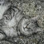 Adorable gray tabby cat lounging on a pebble stone surface, showcasing its playful demeanor.