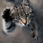 Close-up of a cute tabby kitten playfully reaching upwards, perfect for pet lovers.