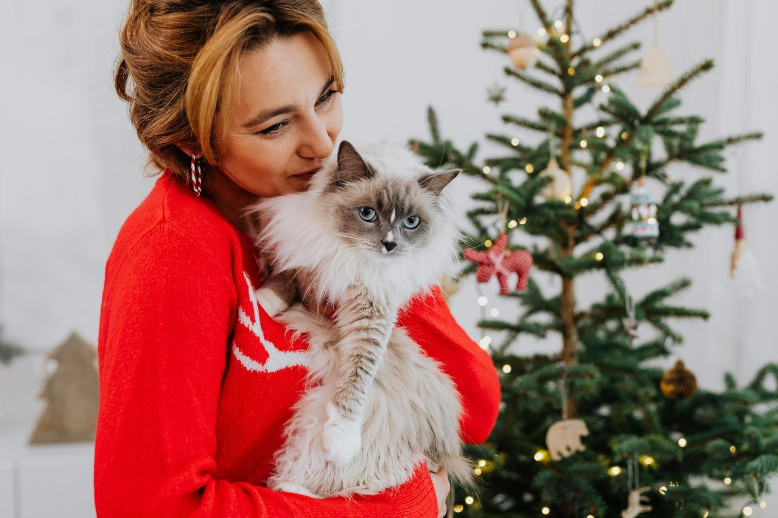 A woman in a red sweater cuddling her fluffy cat near a decorated Christmas tree.