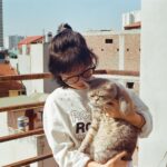 A young girl embraces her pet cat on a sunny balcony in bustling Vietnamese cityscape.
