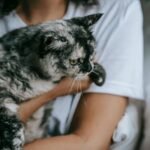 A woman lovingly holds a fluffy gray cat in a cozy room, capturing a tender moment.