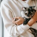 Crop unrecognizable female in soft wear embracing gently cute cat in house in daytime