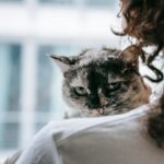A woman gently holding her cat indoors, showcasing affection and companionship.
