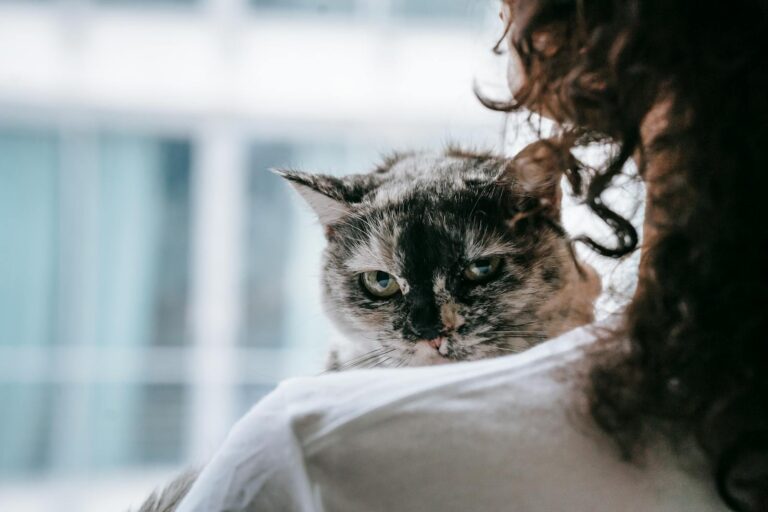A woman gently holding her cat indoors, showcasing affection and companionship.