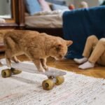 Adorable ginger cat skateboarding with child watching indoors, capturing playful and joyful moments.