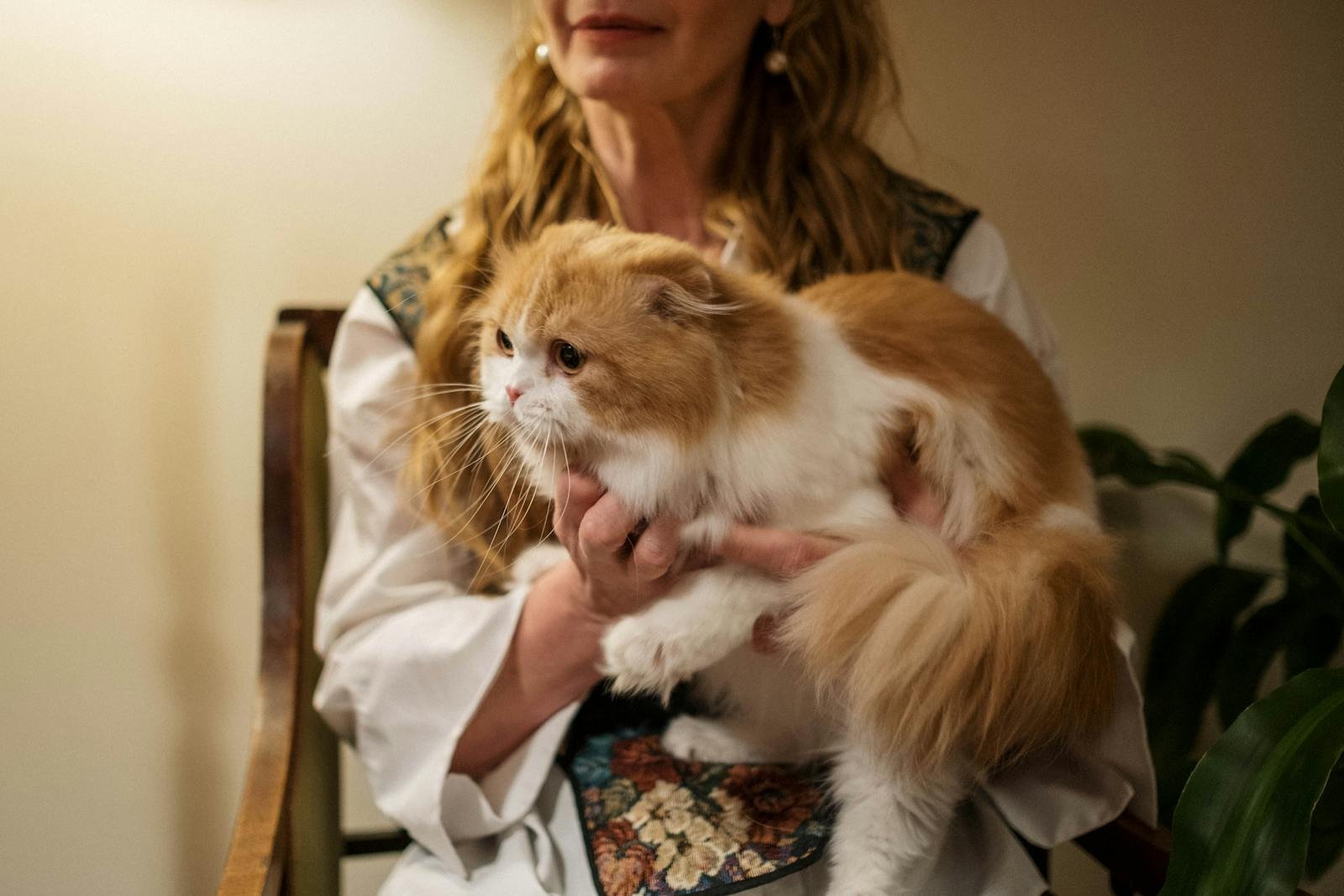 A woman gently holding a fluffy Persian cat, seated indoors with warm lighting.