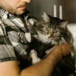 A bearded man in plaid holding a fluffy tabby cat indoors, showcasing a cozy pet moment.