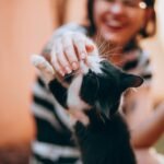 A joyful woman petting a friendly black and white cat outdoors on a sunny day.