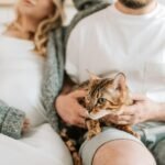Expectant couple relaxing with a Bengal cat on a cozy indoor afternoon.
