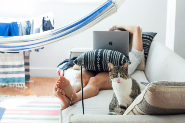 A domestic cat sits beside a person working on a laptop, relaxing on a sofa at home.