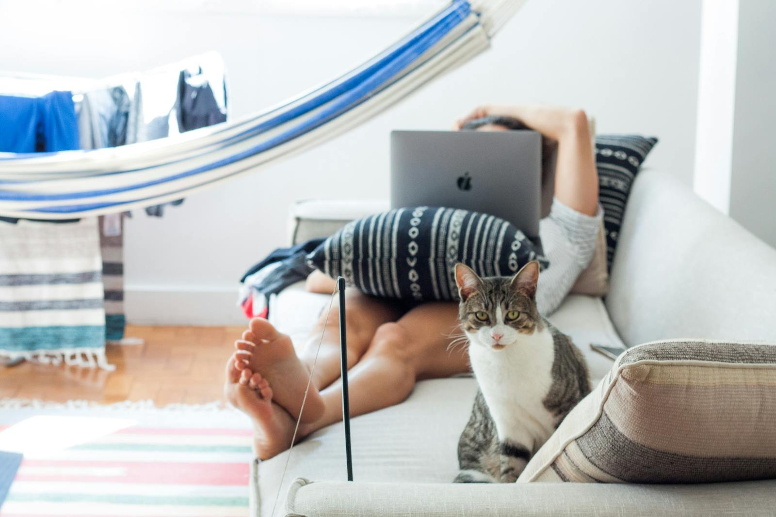 A domestic cat sits beside a person working on a laptop, relaxing on a sofa at home.